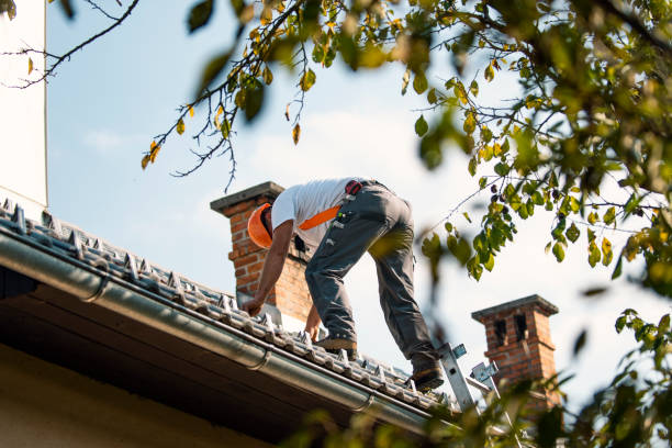 Best Flat Roof Repair Services  in Wood Ridge, NJ